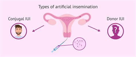 insemination Search